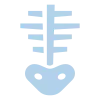 kine icons (1)